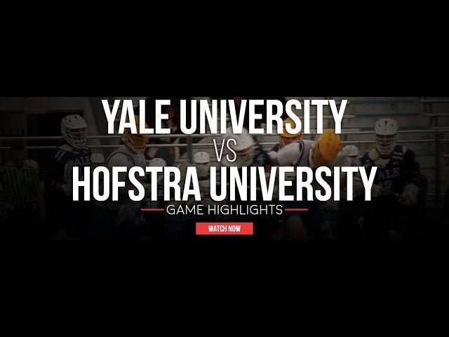 Yale vs Hofstra Fall Lacrosse Scrimmage - Lax.com