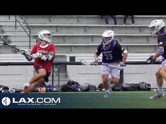 Harvard vs High Point - Lax.com