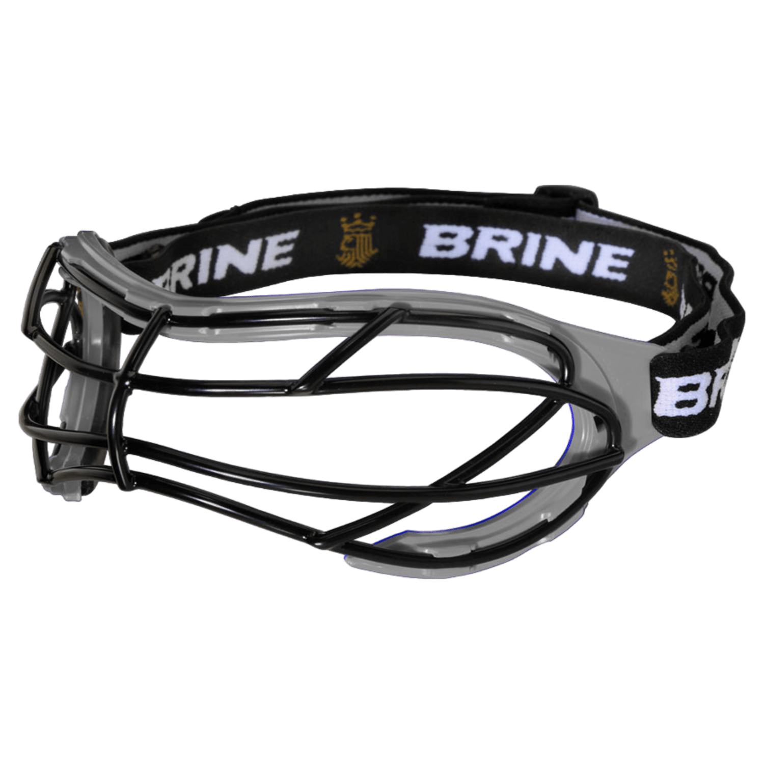 Brine Dynasty 2 Goggles Women's Goggles Silver Lax.com